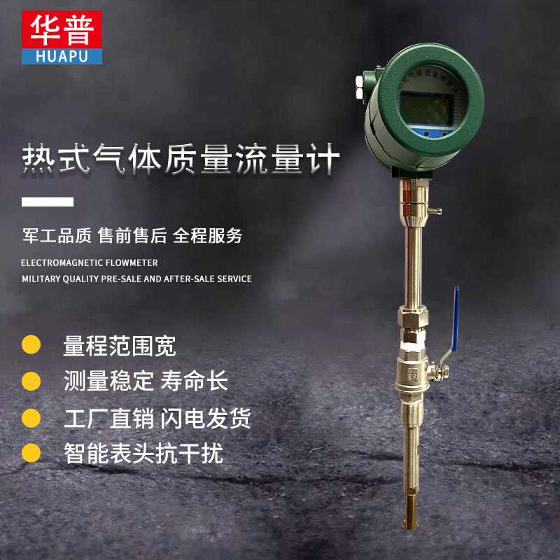 熱式氣體質(zhì)量流量計(jì)